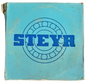 N310 - STEYR bearing